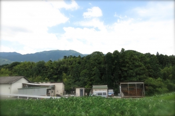 拡大表示